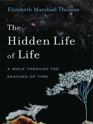 cover image of The Hidden Life of Life